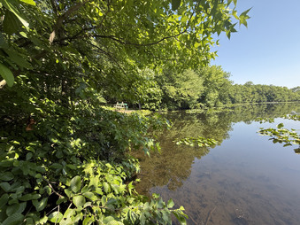 Enlarge photo 53