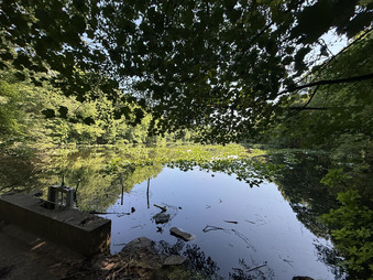 Enlarge photo 55