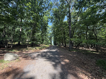 Enlarge photo 56