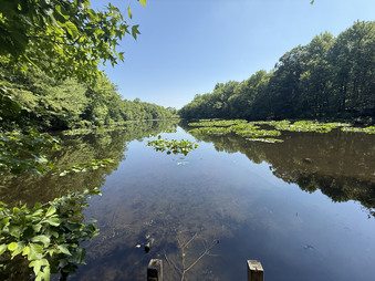 Enlarge photo 59