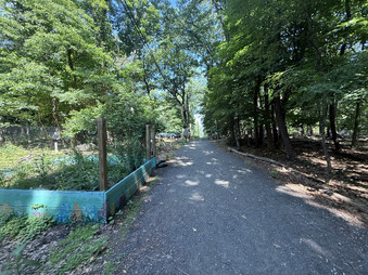 Enlarge photo 63