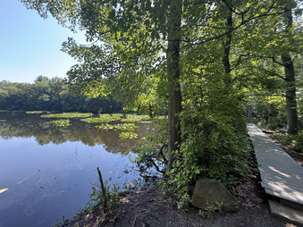 Enlarge photo 67