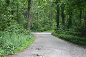 Enlarge photo 8