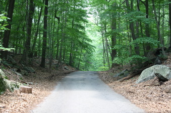 Enlarge photo 13