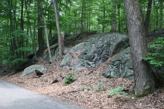 Enlarge photo 14