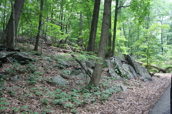 Enlarge photo 15