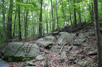 Enlarge photo 16
