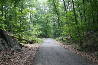 Enlarge photo 17