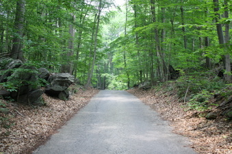 Enlarge photo 18