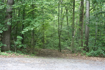 Enlarge photo 25