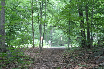 Enlarge photo 26