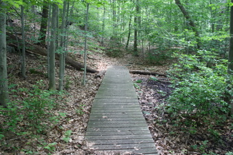 Enlarge photo 27