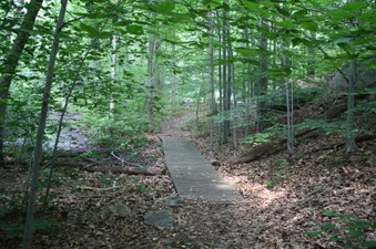 Enlarge photo 28
