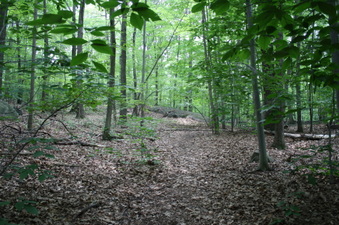 Enlarge photo 29