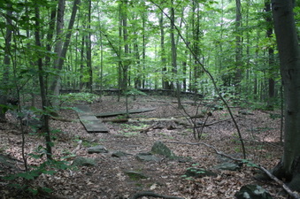 Enlarge photo 30