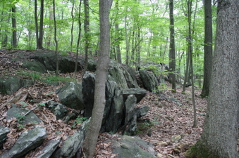 Enlarge photo 31