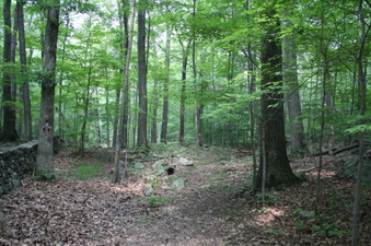 Enlarge photo 32