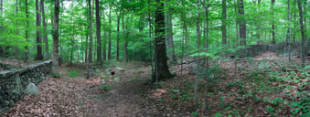 Enlarge photo 33