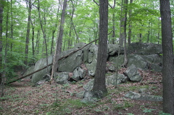 Enlarge photo 34