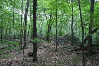 Enlarge photo 35