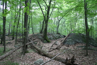 Enlarge photo 36