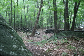 Enlarge photo 37