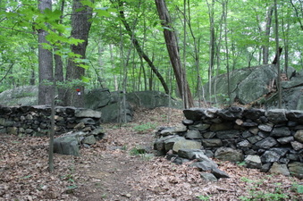 Enlarge photo 38