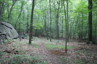 Enlarge photo 39