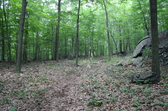 Enlarge photo 40