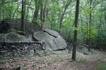 Enlarge photo 41