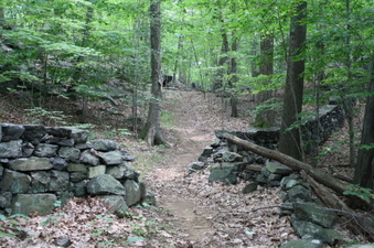 Enlarge photo 42