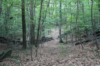 Enlarge photo 43