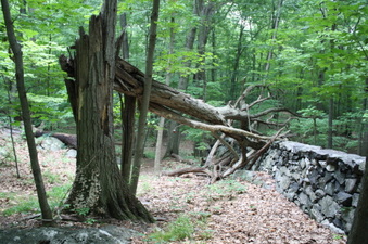 Enlarge photo 44