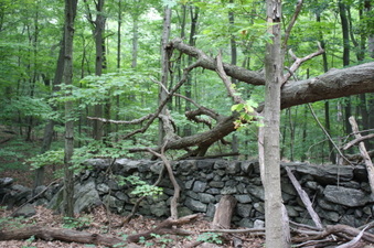 Enlarge photo 45