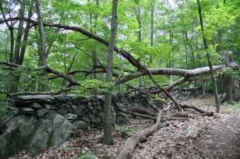 Enlarge photo 46
