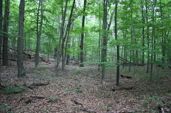 Enlarge photo 47