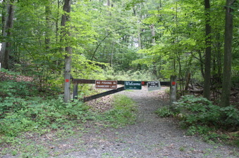Enlarge photo 48