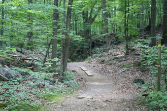 Enlarge photo 49