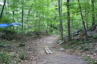 Enlarge photo 50