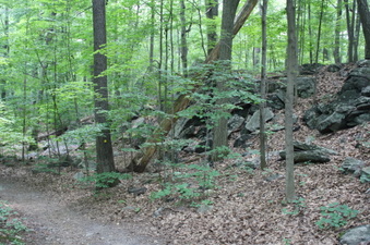 Enlarge photo 51