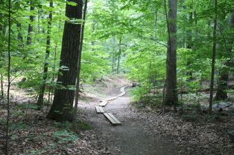 Enlarge photo 52