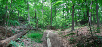 Enlarge photo 53