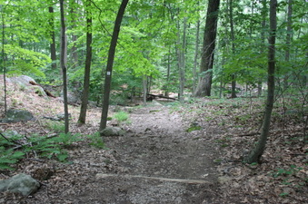 Enlarge photo 54