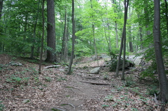 Enlarge photo 55