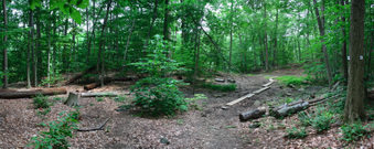 Enlarge photo 56