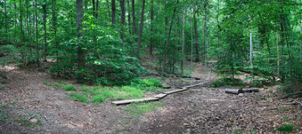 Enlarge photo 57
