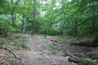 Enlarge photo 58