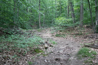Enlarge photo 59