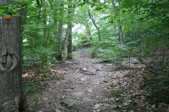 Enlarge photo 60