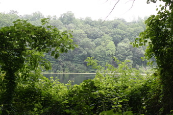 Enlarge photo 62